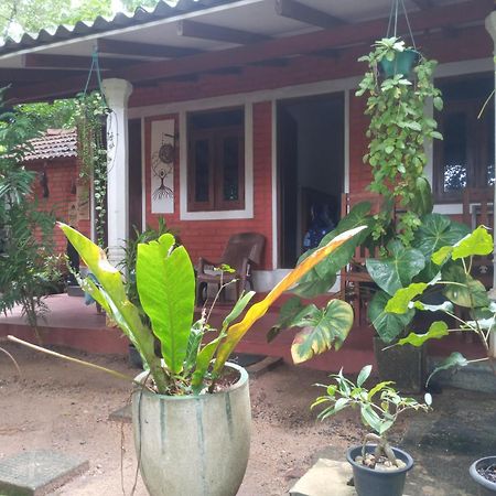 Angry Birds Homestay Habarana Habitación foto