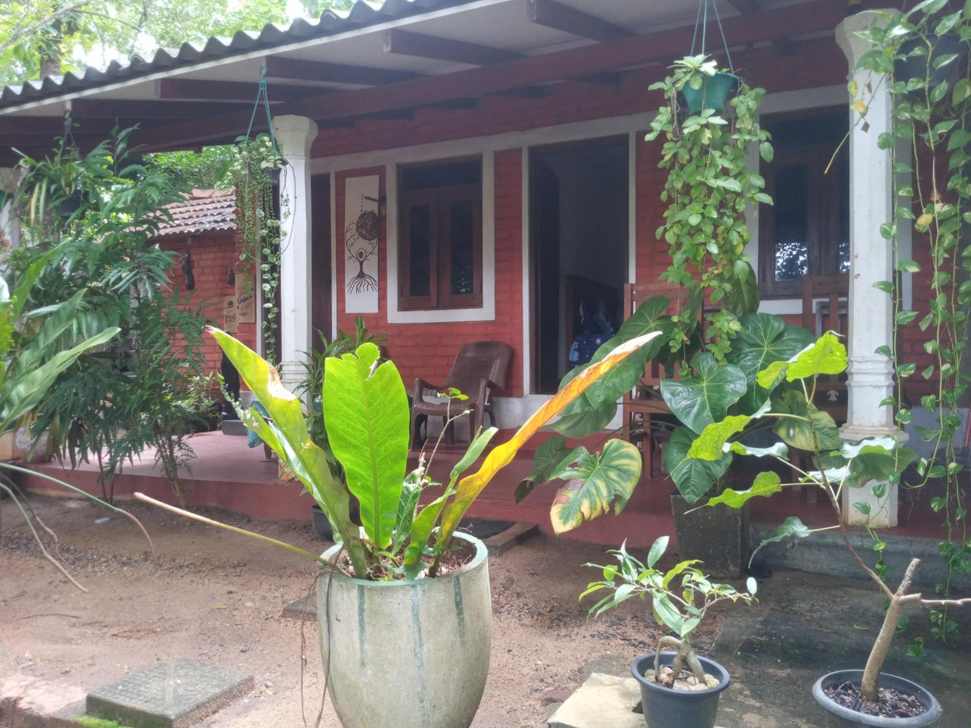 Angry Birds Homestay Habarana Habitación foto
